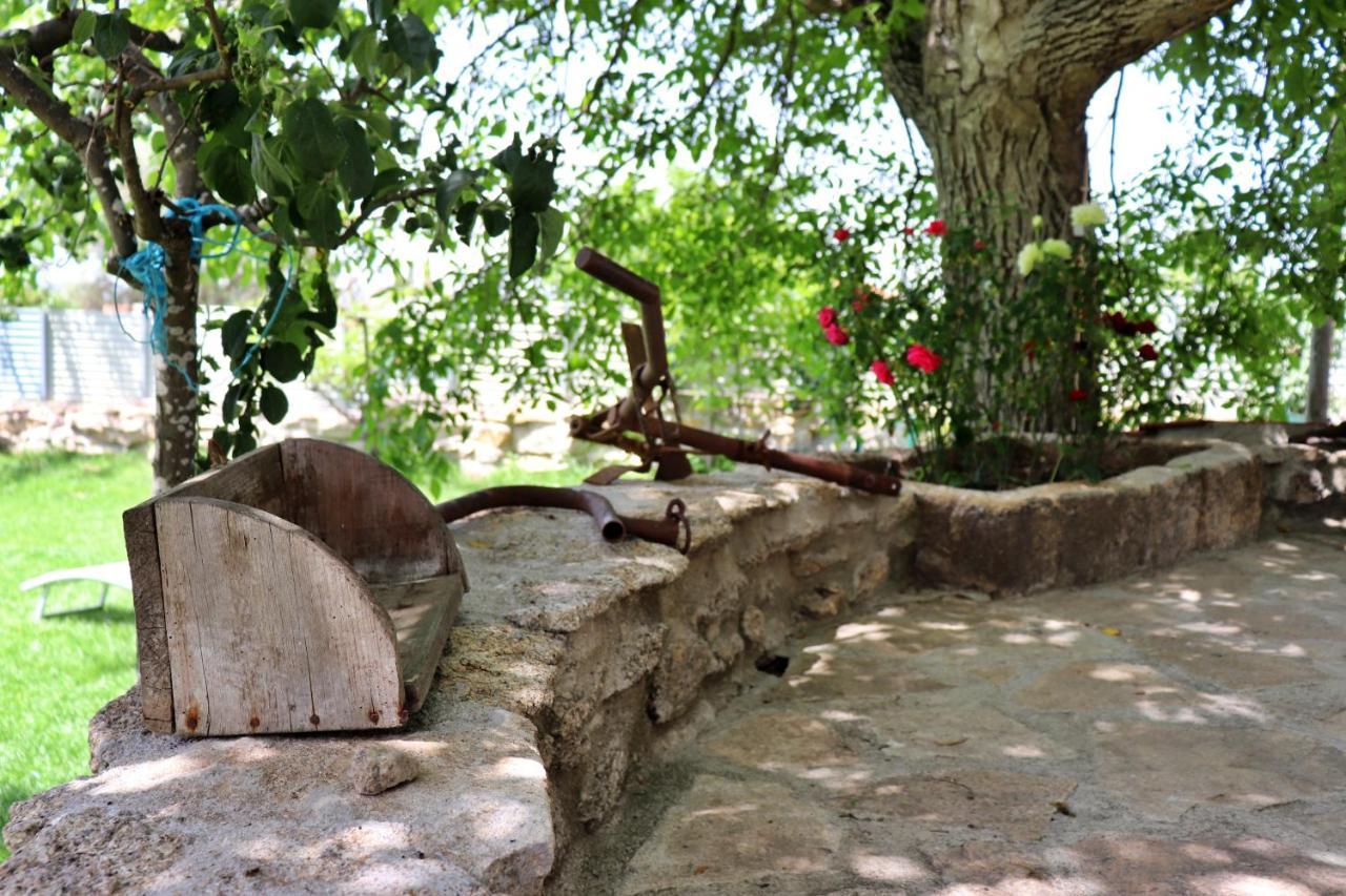 Cantinho D'Aldeia Guarda Extérieur photo
